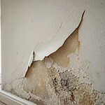 toile peinte qui decolle apres renovation probleme